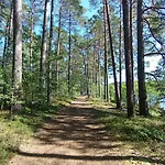 4 Swory Gæstehus 3*