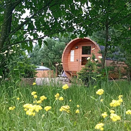 4 Swory סבורנגאצ'יה