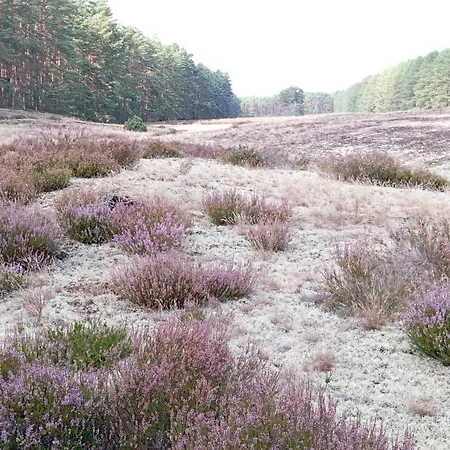 4 Swory סבורנגאצ'יה